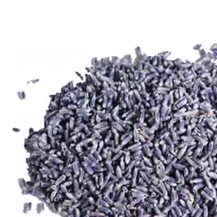 Λεβάντα (Lavender)