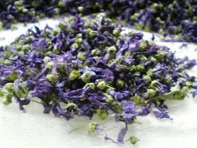 Άνθη Μπλε Μολόχας (Mallow)