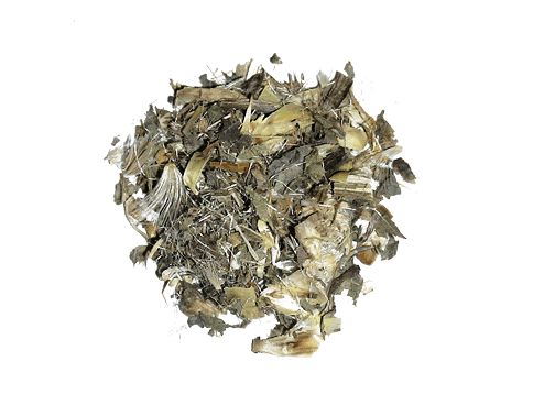 Γαϊδουράγκαθο (Milk Thistle)