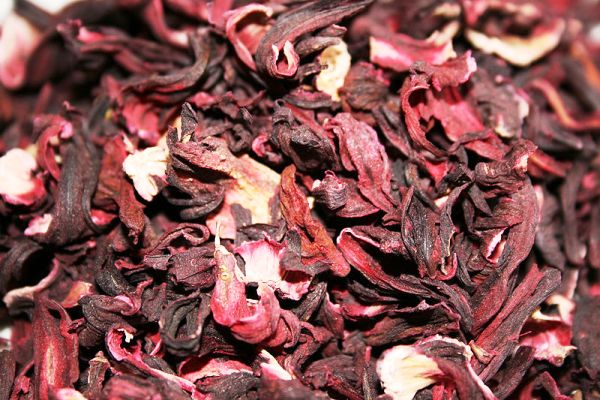 Ιβίσκος (Hibiscus)