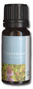Δυόσμος (Spearmint)