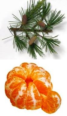 Έλαιο Χώρου Κέδρος με Μανταρίνι