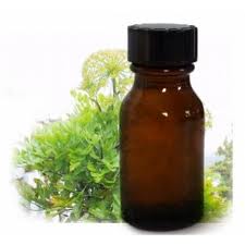 Γάλβανο (Galbanum)