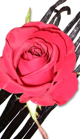 Έλαιο Χώρου Vanilla Rose