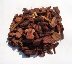 Φλοιός Πεύκου (Pine Bark)